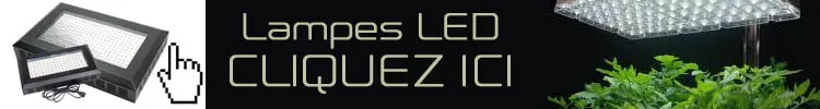 Lampes LED