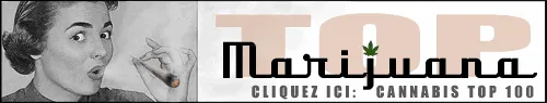 quel est le meilleur cannabis? Marijuana Top